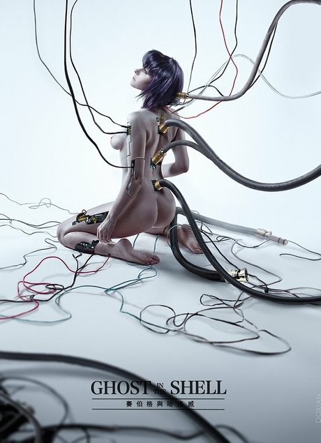 aero cat star art images