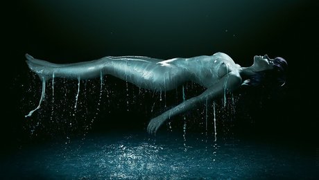 aero cat art actress picture