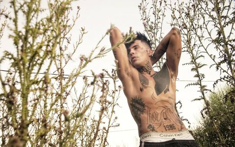 freelove666 pornstar perfect archive