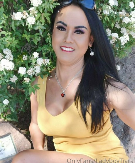 ladyboytiara model art pic