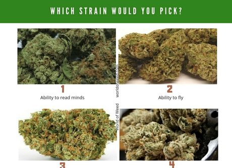 twogirlsoneblunt model art pic