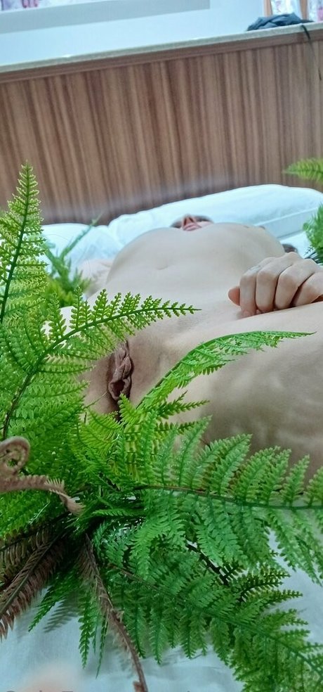 evamoderninha pornstar gallery