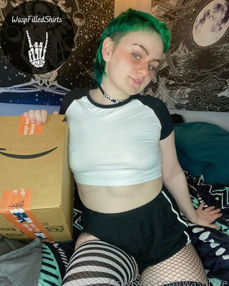 waspfree star pretty archive