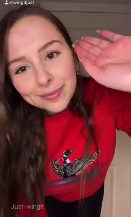 Just Wingit model best gallery