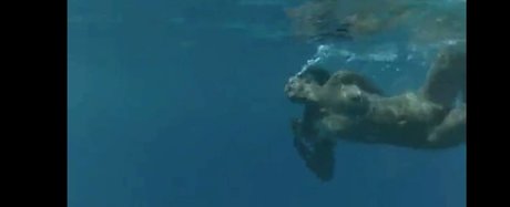 Phoebe Cates star best galleries