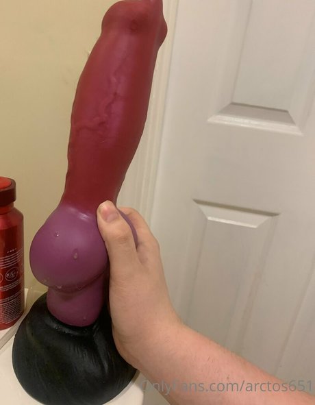 arctos651 nude pornstar photo
