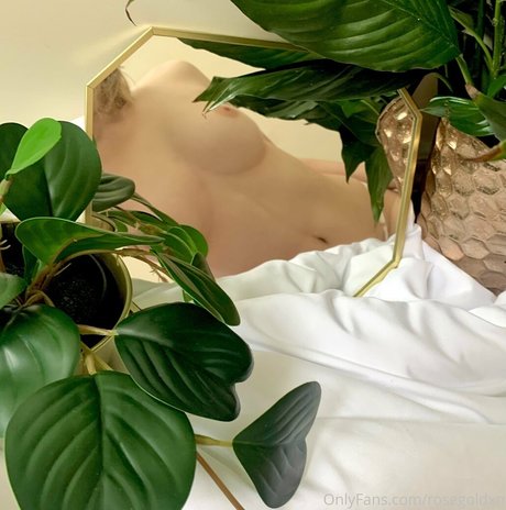 rosegoldxn nude model pics