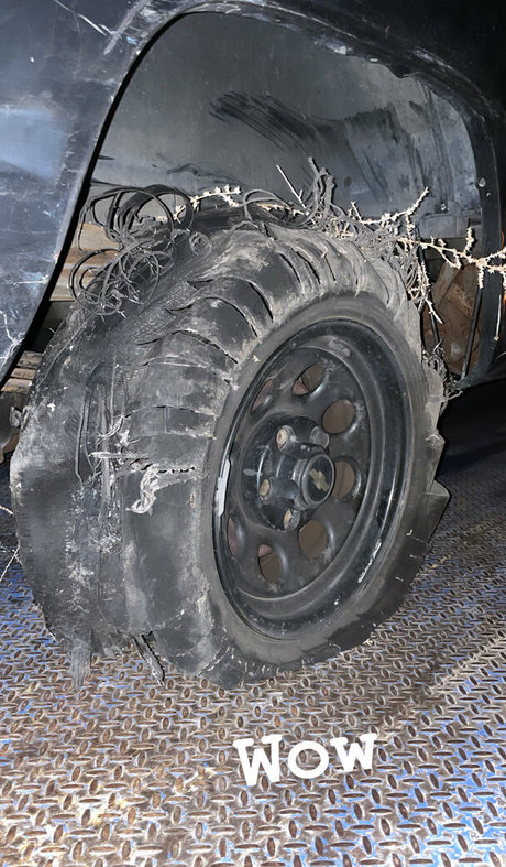 elizabethreed nice actress galleries