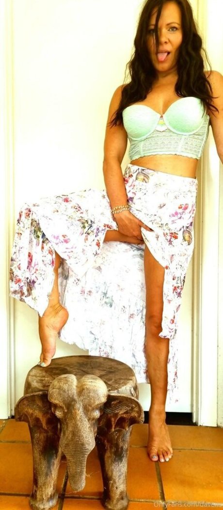 davens perfect star galleries