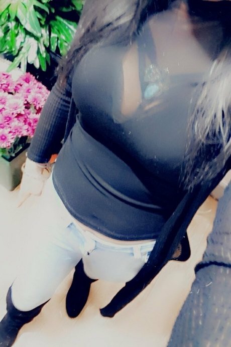 davens pretty star gallery