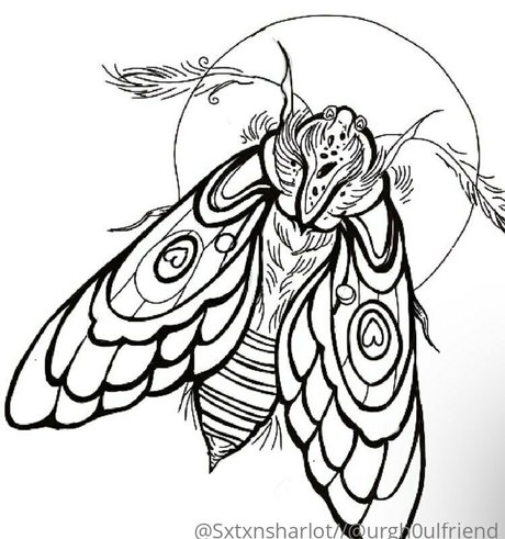 sxtxnsharlot perfect pornstar img