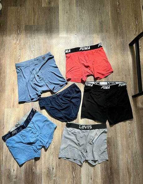 cactsdrms free star images