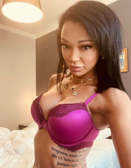 harleydean free star galleries