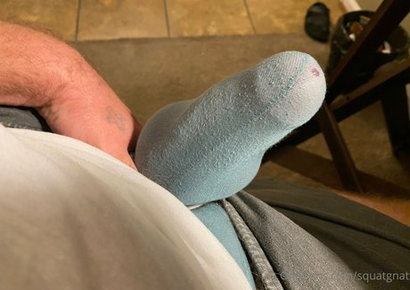 squatgnat star perfect img