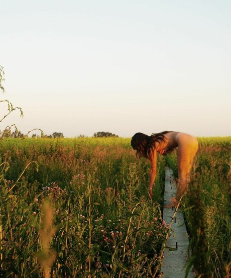 cowgirlbrooklynbabe pornstar pretty picture