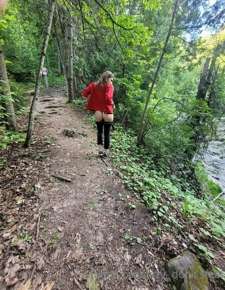 violet scarlet nice star archive