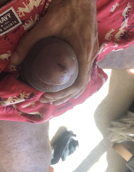 thefackelmayer pornographic actress photo