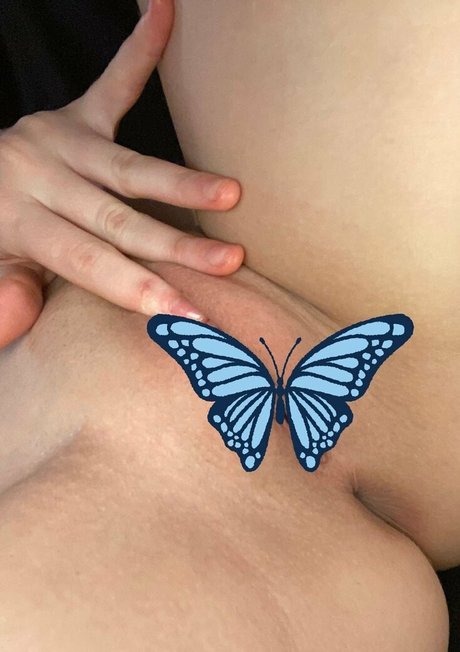 laila free star pretty gallery