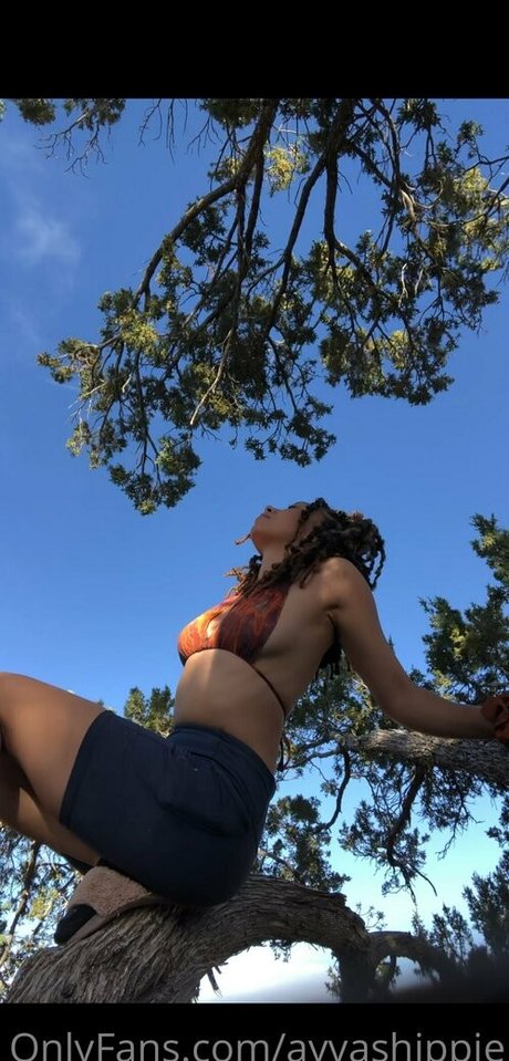 ayvashippie nice pornstar pictures