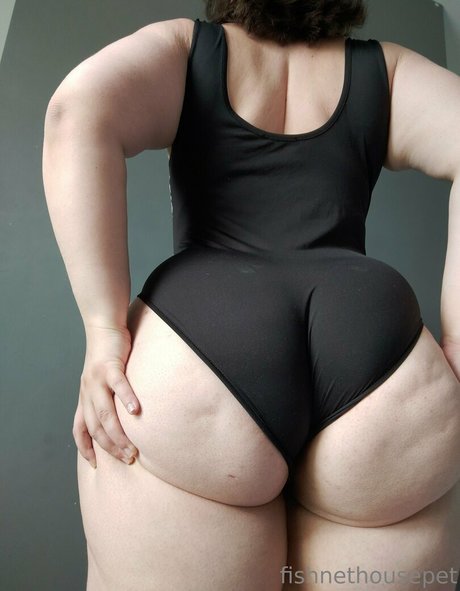 fishnethousepet exclusive pornstar img