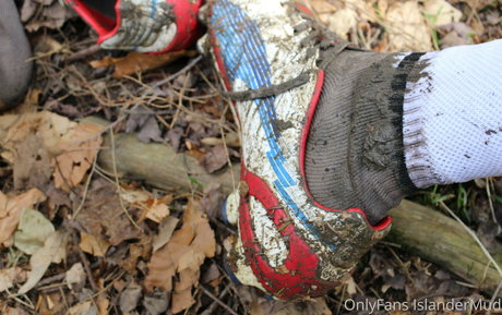 islandermud beautiful star photos