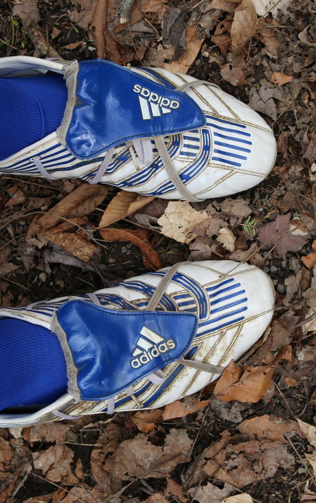 islandermud star high quality pictures