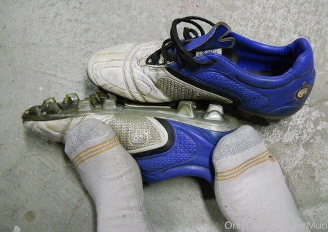 islandermud star free photo