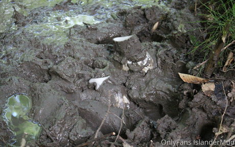 islandermud star erotic images