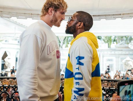 floydmayweather beautiful pornstar photos