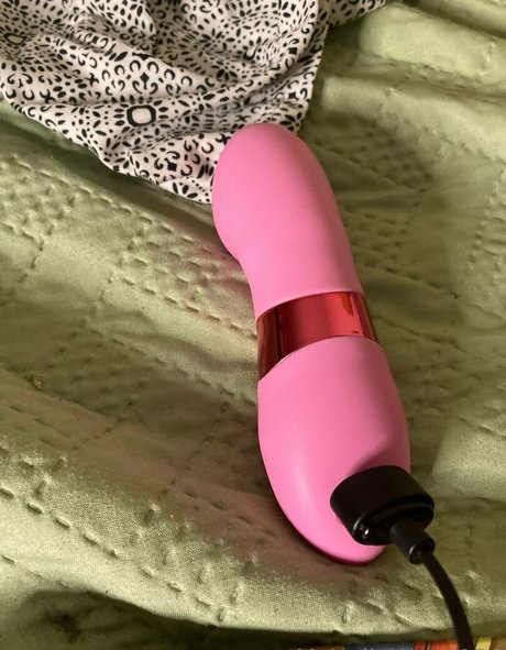 mshollywood100 sexy pornstar archive