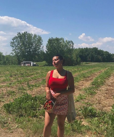 Nada C model free archive