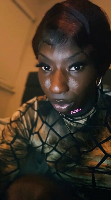 amazonbaycardi perfect star gallery