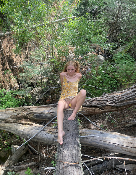 chaotic bangers star images