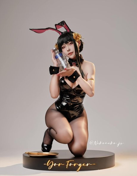 Nekoneko JX actress pic