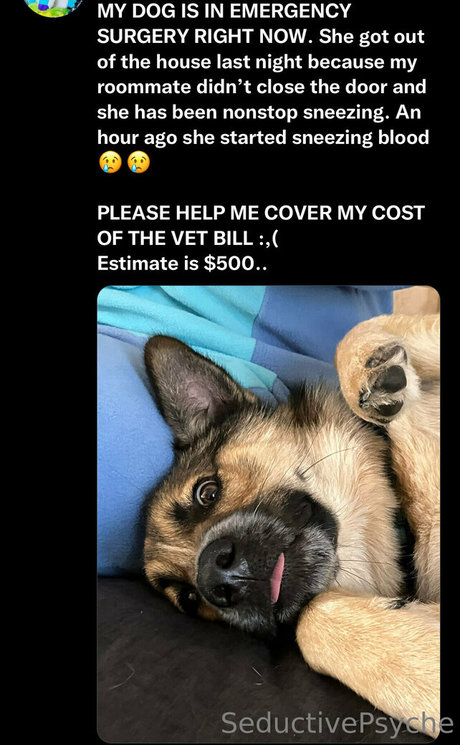 seductivepsyche model nudes picture