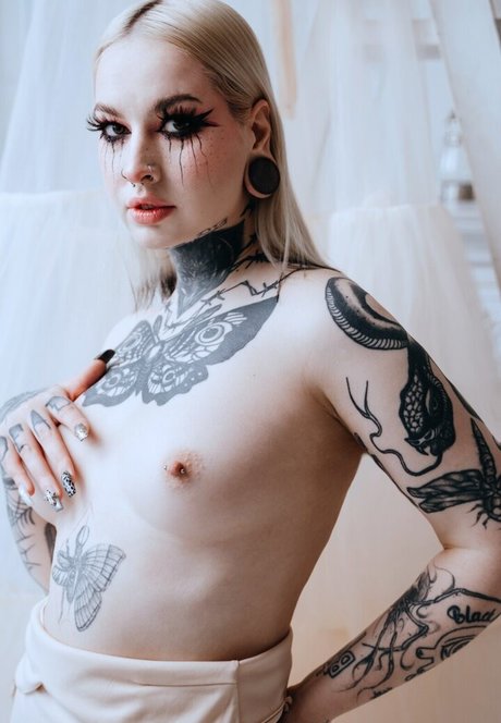 dariamilk nice pornstar archive