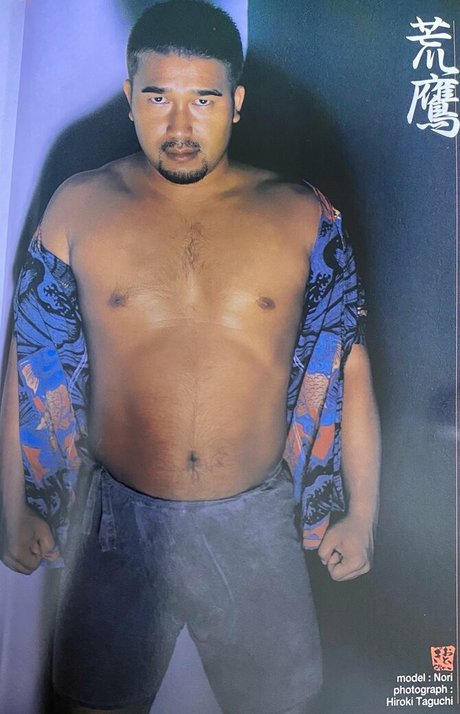 threeislands pornstar art img