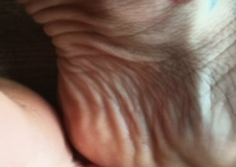 onlyblue official erotic model gallery