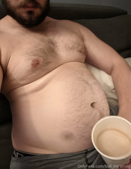 bull intraining star adult photo