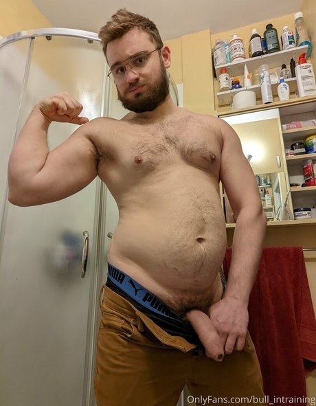 bull intraining adult model picture