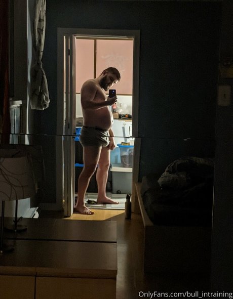 bull intraining star perfect pic