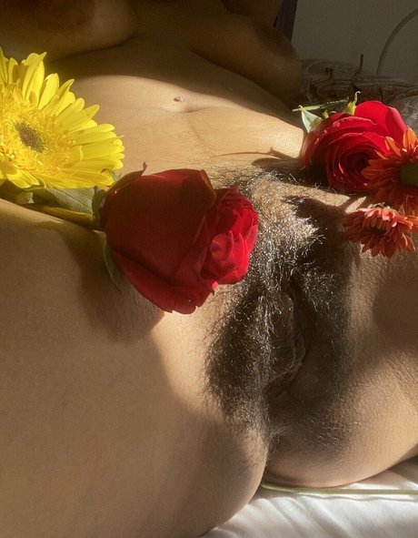 Droolydog star hot img