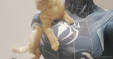 Soft kittn pornographic model pictures