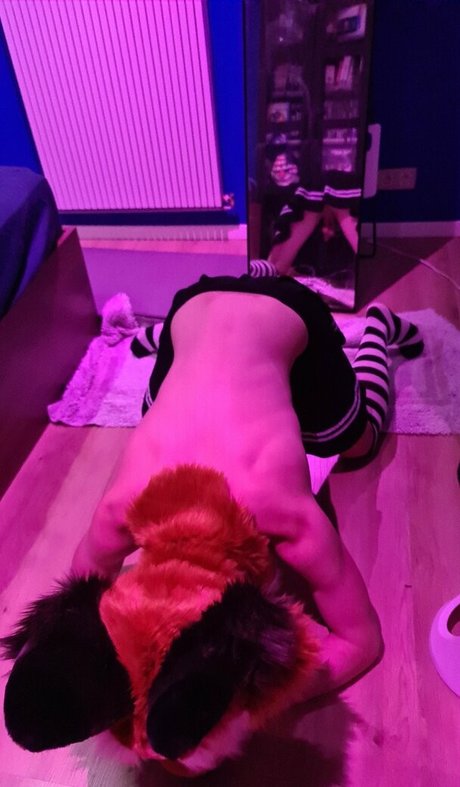 matthewfoxbe top star pic