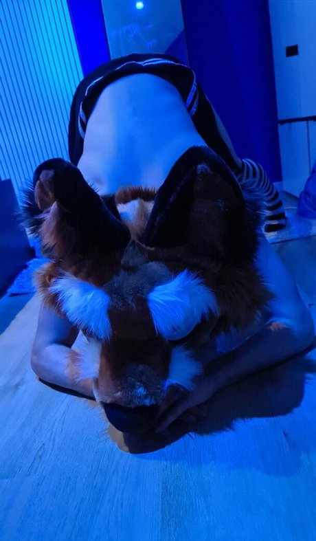 matthewfoxbe pornstar erotic photos