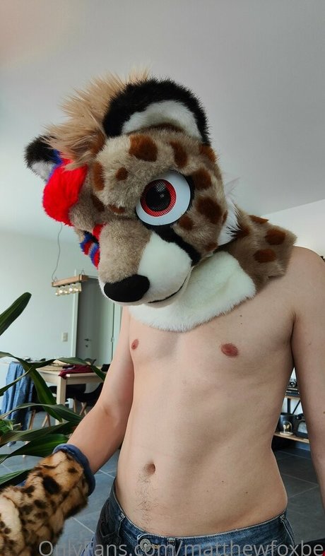 matthewfoxbe xxx model galleries