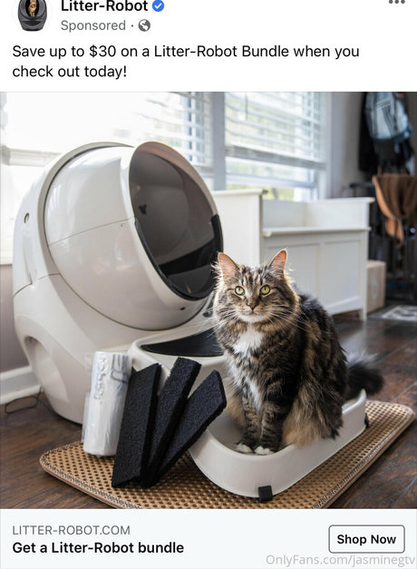 jasminegtv best star archive