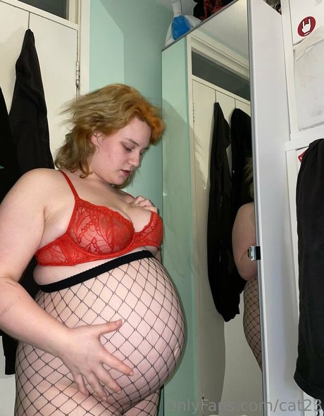 cat23 nice star picture