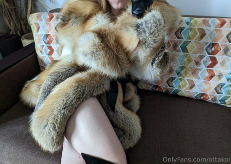 ottakoi star high quality photos