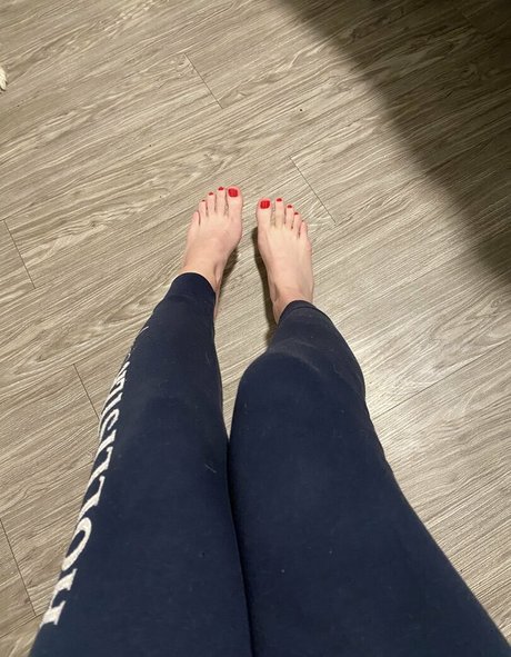 lilacwinds beautiful star archive